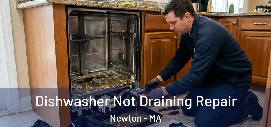 Dishwasher Not Draining Repair Newton - MA
