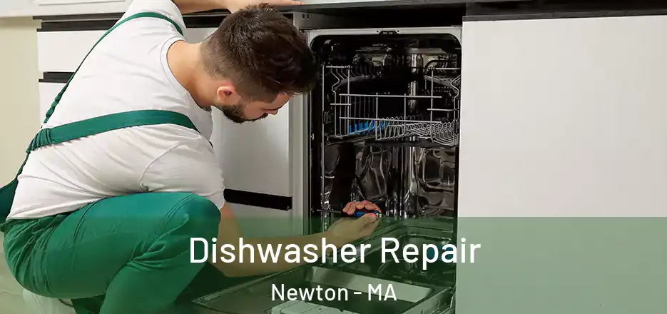 Dishwasher Repair Newton - MA