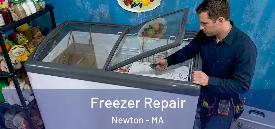 Freezer Repair Newton - MA
