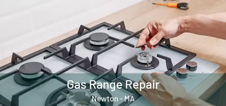 Gas Range Repair Newton - MA