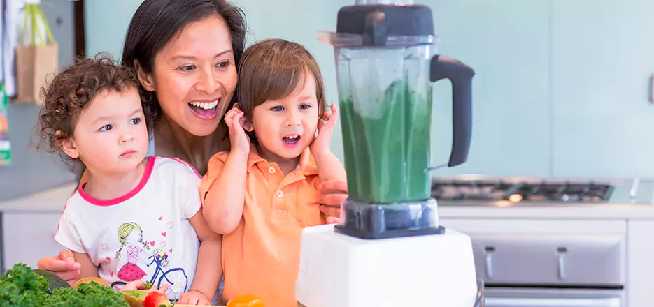 Juicer and Mixer Blender Repair in Newton