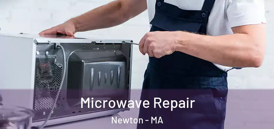 Microwave Repair Newton - MA