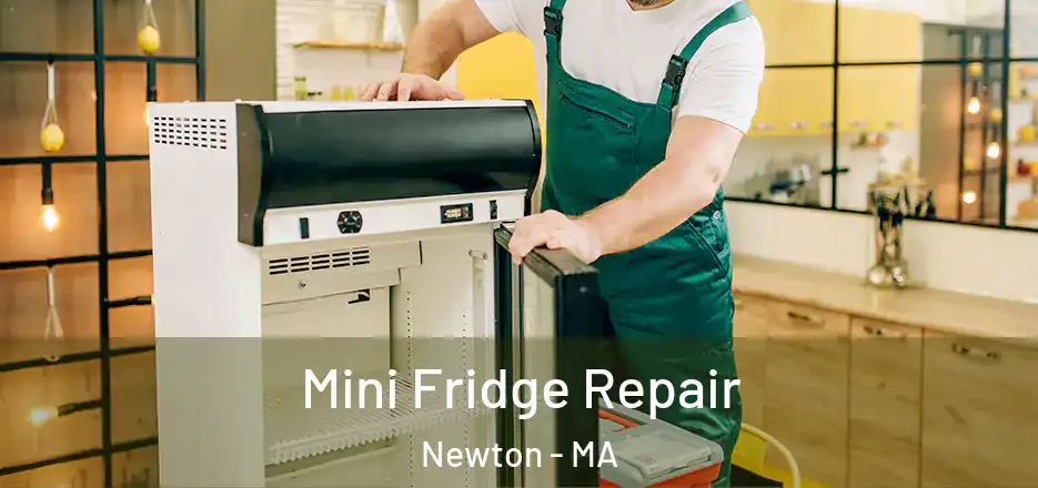 Mini Fridge Repair Newton - MA